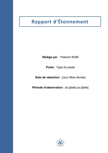 Exemple d'un rapport d'étonnement